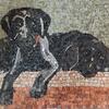 Mosaic of dogs in marble (45 cm x 28 cm)
