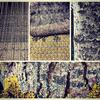 Natural inspiration for woven cloth