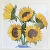Sunflowers. Watercolour.  Outer measurement 18x18”. £80