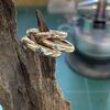 D Profile Gold Rings Flush Set with Australian Sapphire, Pink Sapphire, Salt & Pepper Diamonds - Magwitchery