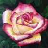 “Expressive rose” Acrylic on box canvas