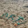 Public engagement series: Art on the Beach 