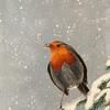 A winter snack. a robin in winter, wild life, acrylic painting, birds, snow, christmas
