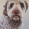 Jo Chesney - Baloo. Dog Portrait - Acrylic on Canvas