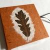 THE LOCKDOWN BOOKS       Hand made artist’s book of leaf prints