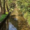 Photograph of stream by path off Cottonmill Lane, St Albans