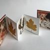THE LOCKDOWN BOOKS     Hand made artists book of leaves and leaf prints