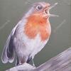 Jo Chesney - Harry the Robin singing on a green ground in acrylics on canvas board