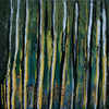 Forest 100 X 100 cm