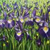 Away in the Iris Field (80x60cm) Vibrant landscape painting of Iris flowers 
