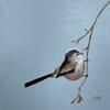 Long-Tailed tit in Acrylic