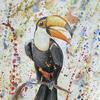 Watercolour painting Tex the Toucan