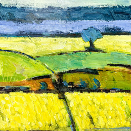 Fields of yellow 