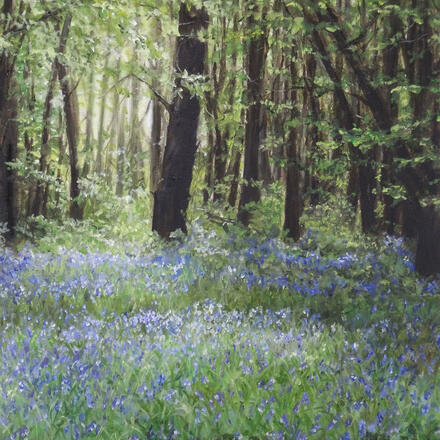 Heartwood forest, bluebells, oil painting