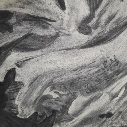 Charcoal drawing of abstracted shapes morphing into other forms based on those found in ancient oaks 