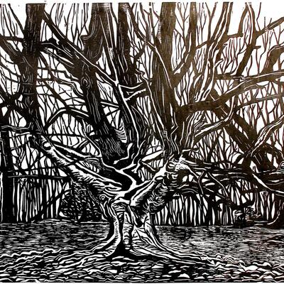 Frithsden Great Beech; Woodcut on paper