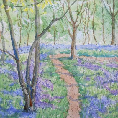 'Bluebell Woods' Watercolour 