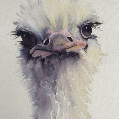 Who You Lookin At? Watercolour