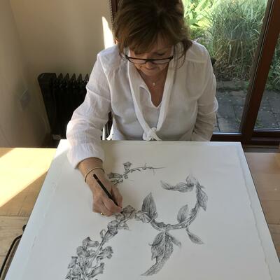 Jill drawing foxglove in studio