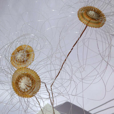 Bloom, 3 sculptural flowers woven in clear and light brown repurposed fishing line displayed on copper wire in a white wooden base 