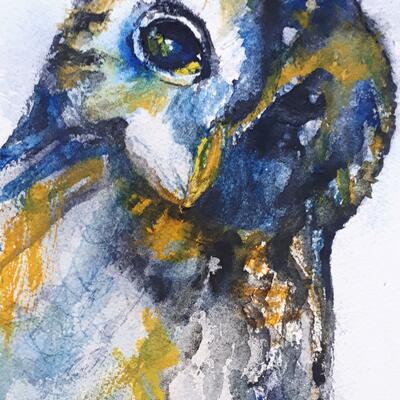 'Sarum Owl' Watercolour and liquid charcoal. Available as A5 or A4 high quality prints, individually printed on textured paper and colour matched to the original. .