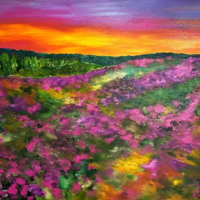 Sunset on Heather (in the Peak District)