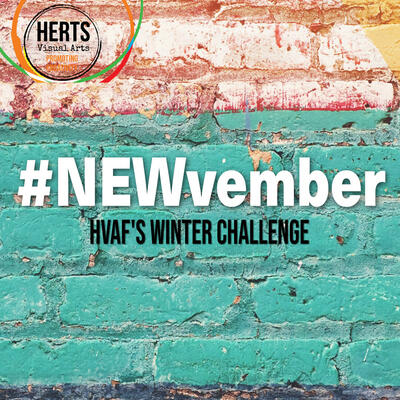 NEWvember, HVAF's winter social media challenge