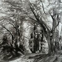 ink drawing of trees and dappled light
