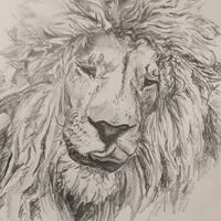 "I like big cats." Commissioned graphite on paper sketch. 2020.