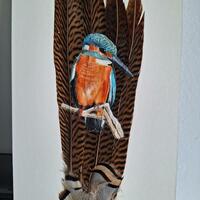 European Kingfisher in Acrylics painted directly onto Pheasant feathers.