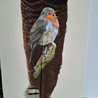 European Robin paited in Acrylics directly onto American Turkey feather.