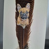 French Bulldog painted in Acrylics directly onto American Turkey feather.