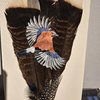 European "Jay" painted in Acrylics directly onto American Turkey feathers. 