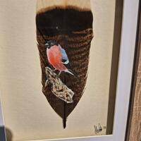 Bullfinch in Acrylics painted directly onto American turkey feather.