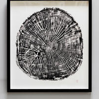 406 Lime - ink on paper. The printing blocks I use to hand print these tree ring impressions from are cut from already fallen trees which are worked flat before exposing the ring formations with fire.