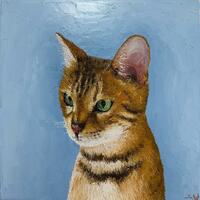 Cat Portrait Commission / Oil / 30x30cm / Oct 2022