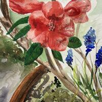 ‘Bloom’ - watercolour 