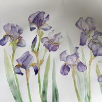 Irises (detail) - watercolour