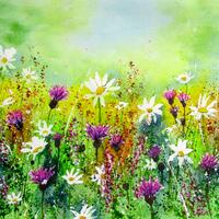 Daisies and Meadow Thistles. Framed Watercolour. 60 x 49cm