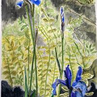 ‘Mystery Bulbs Bloom into the Green’. Watercolours and gouache 