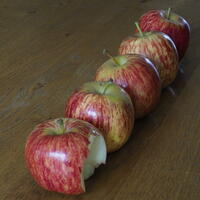 Apples on Wood