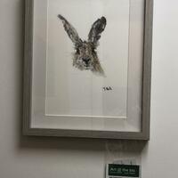 Curious hare watercolour 