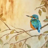 Kingfisher. Framed Watercolour. 59 x 49cm.