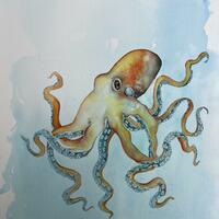 Dancing Legs. Original watercolour of an octopus 12” x 16”. 