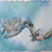 Tropical Swim. Original watercolour painting of turtles swimming happily in beautiful turquoise water 16” x 12”. 