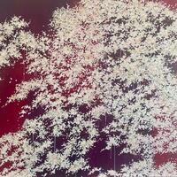 The Cherry Blossom, Acrylic on canvas 