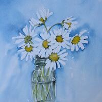 Daisies. Original watercolour of daisies 10” x10”