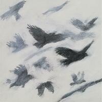 A Clattering of Jackdaws, Charcoal and Acrylic on board, 22 x 22cm, £100