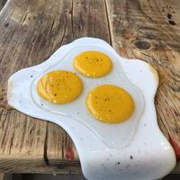 Fused Glass Fried Egg