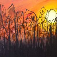 50 x 80cm Sunset through the Reeds Acylic on Canvas. This is a painting we copy in the Arty Farty Workshops